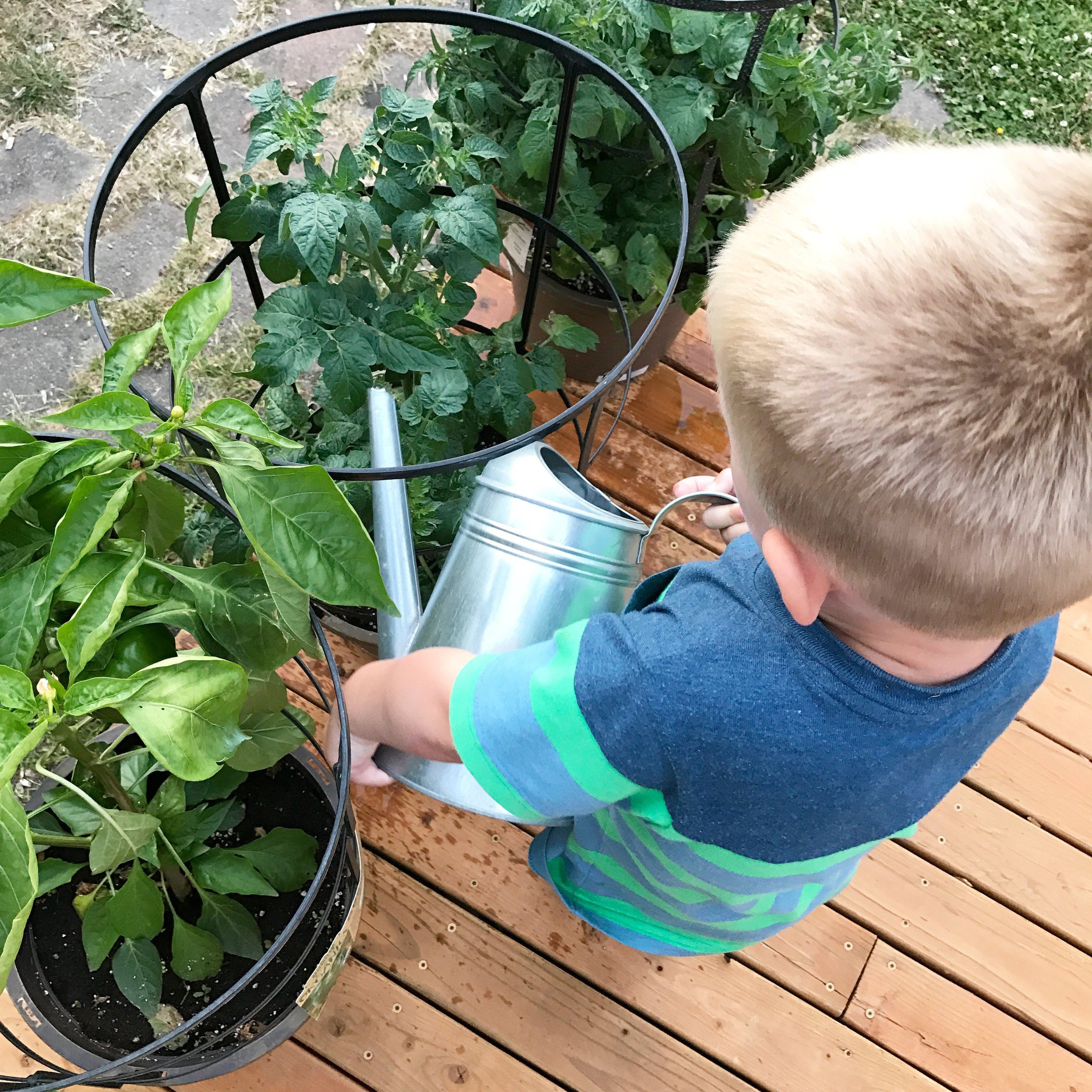 DIY Raised Garden - Dreaming of Homemaking