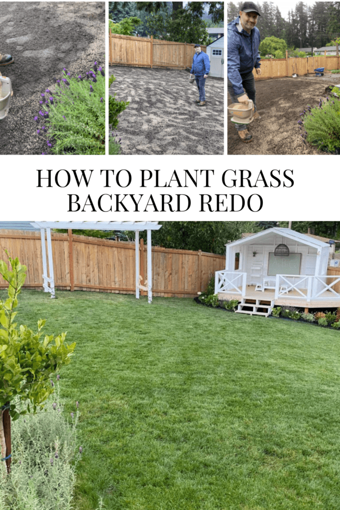 How to Plant Grass - Backyard Redo • Dreaming of Homemaking