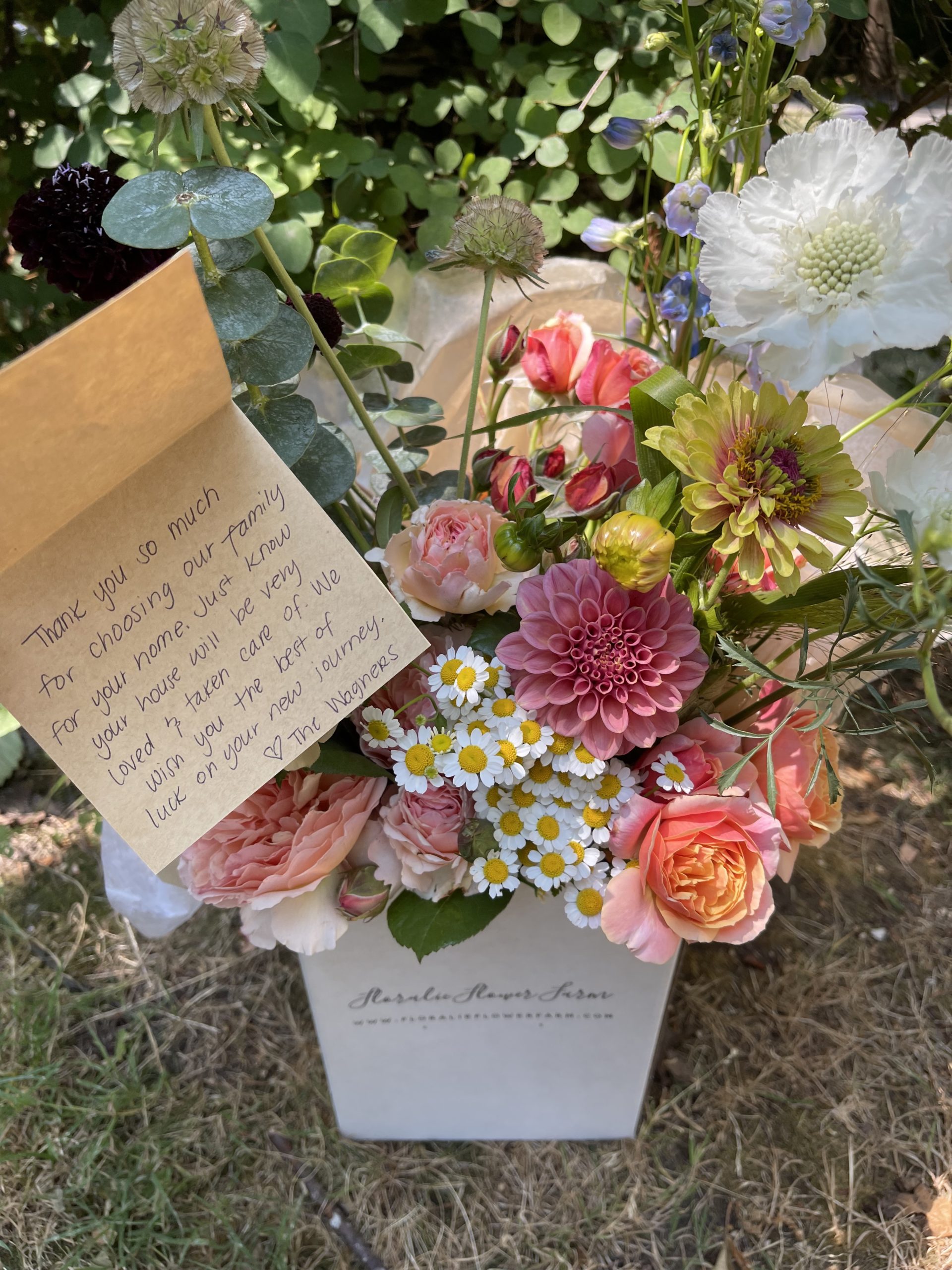 Full Circle – NEW HOME Part 2