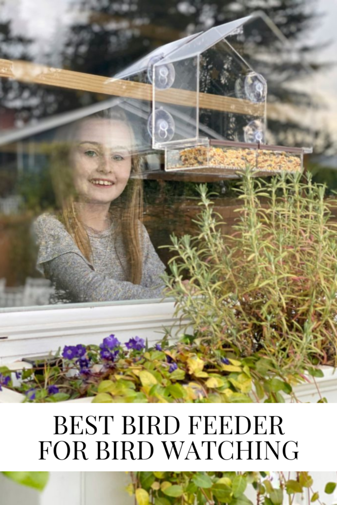 Best Bird Feeder for Bird Watching • Dreaming of Homemaking