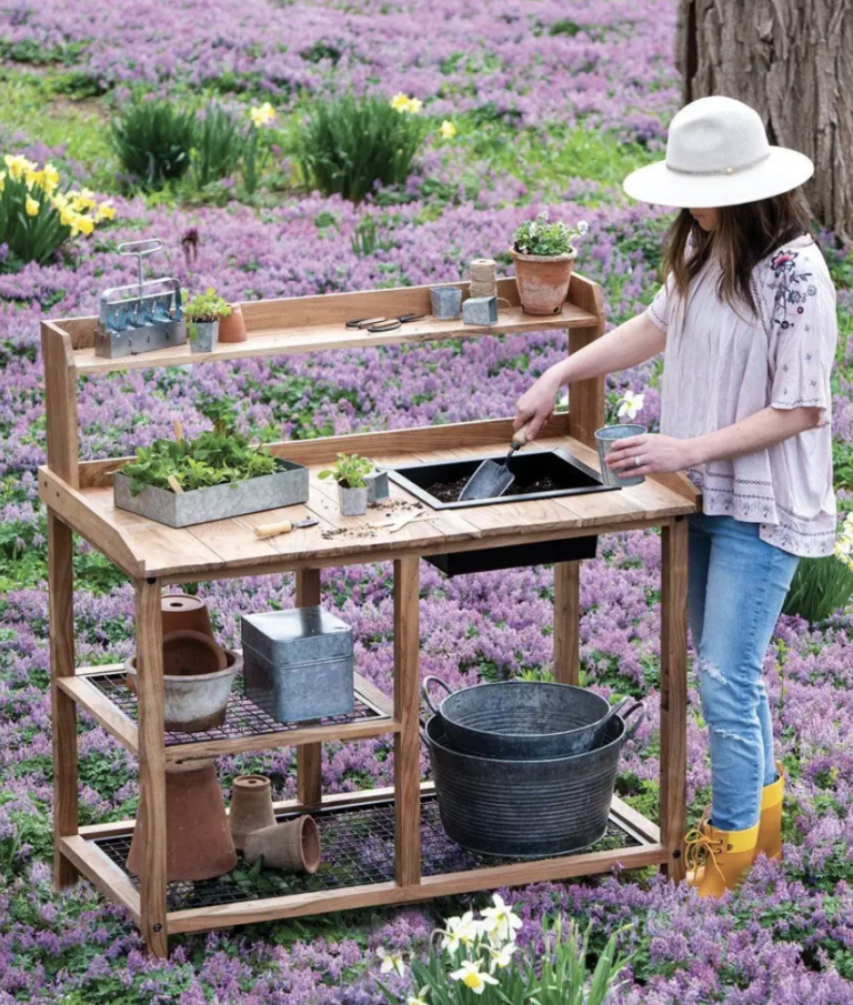 Garden Progress & Must Haves