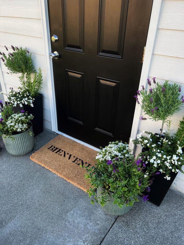 Front door store flower pots