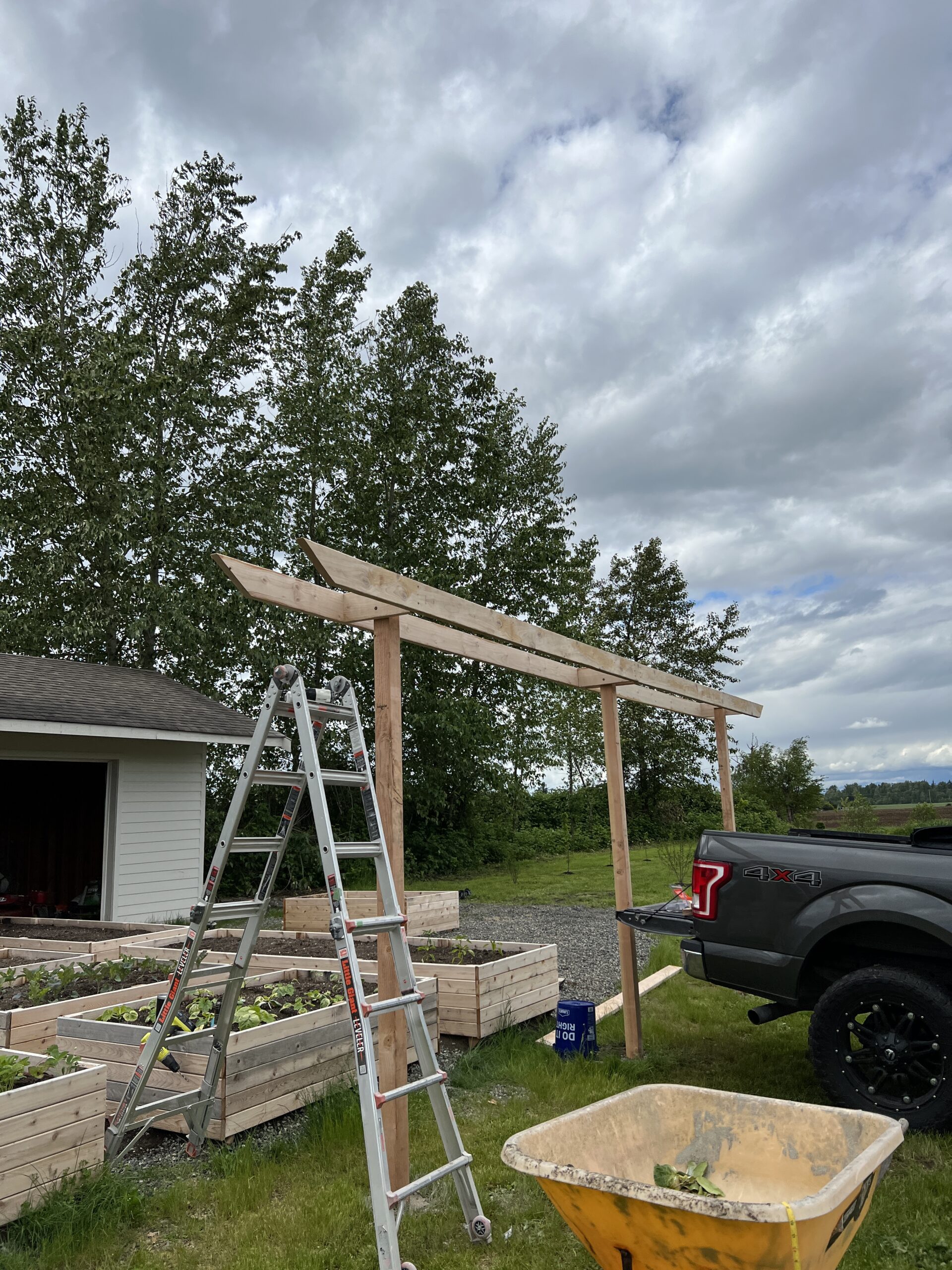 DIY Grape Arbor Trellis