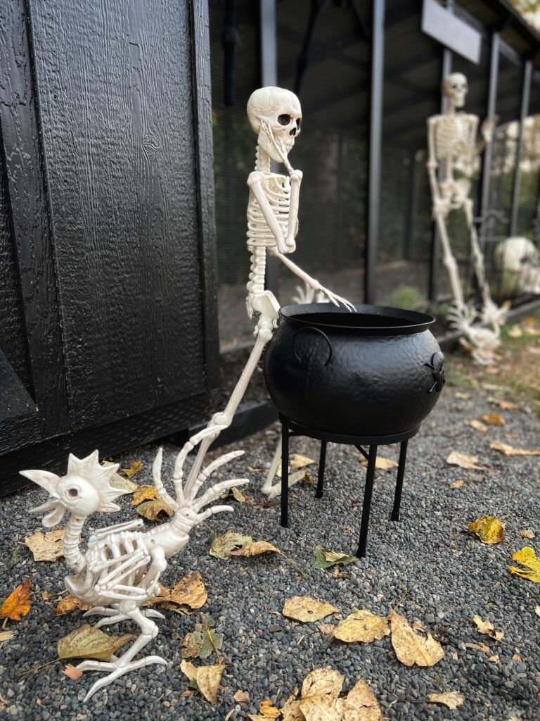 Spooktacular Chicken Skeleton Halloween Decoration Ideas