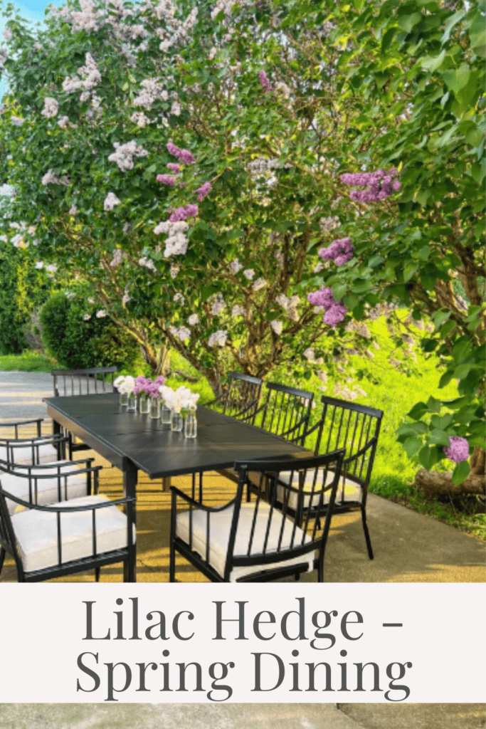 Lilac Hedge Spring Dining - Dreaming of Homemaking