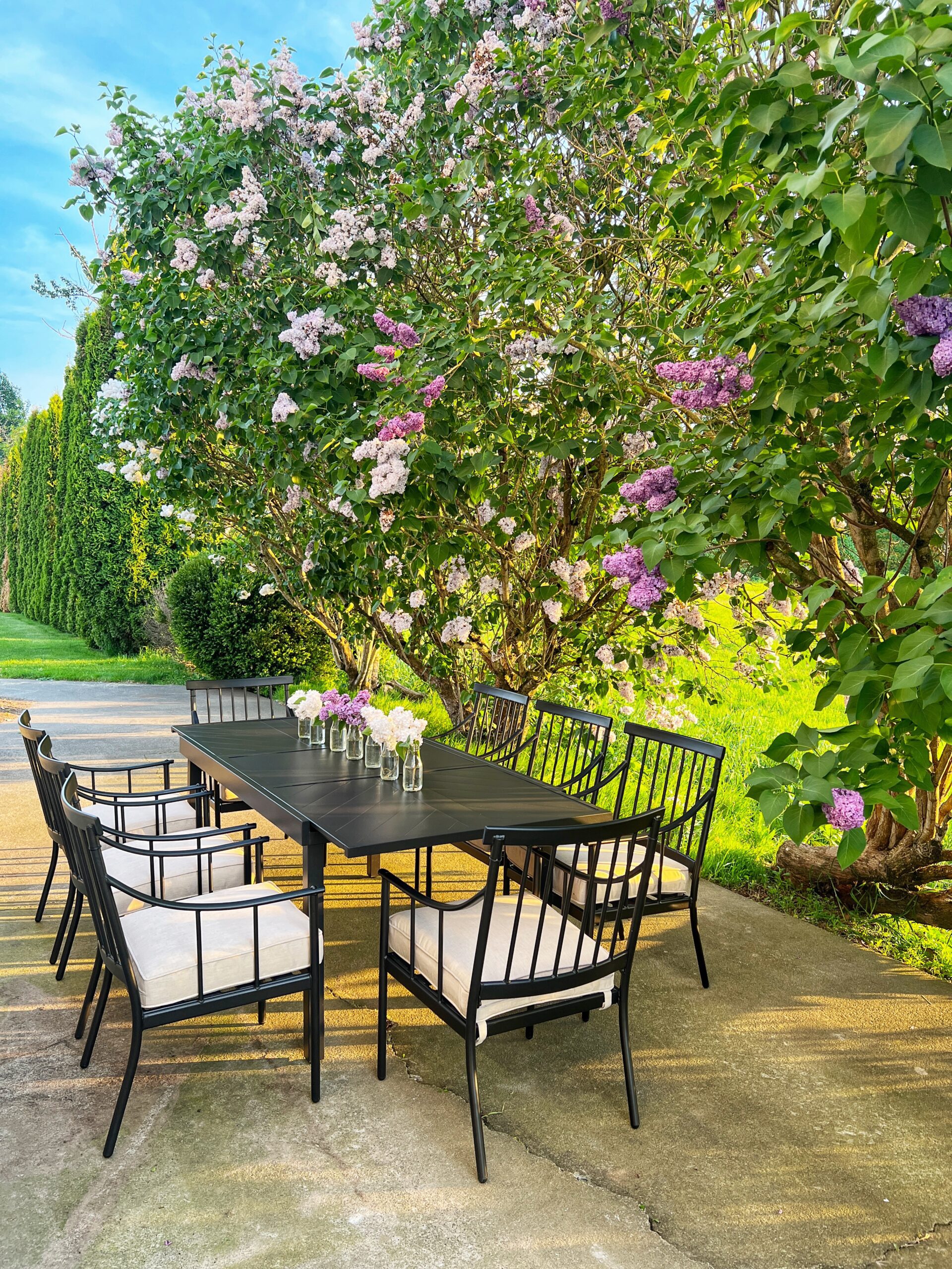 Lilac Hedge – Spring Dining