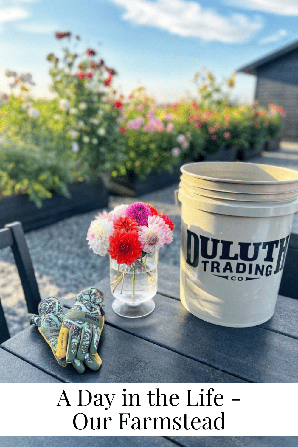 A Day In The Life Our Farmstead