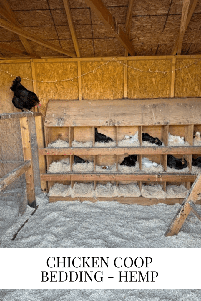 Chicken Coop Bedding - Hemp • Dreaming of Homemaking
