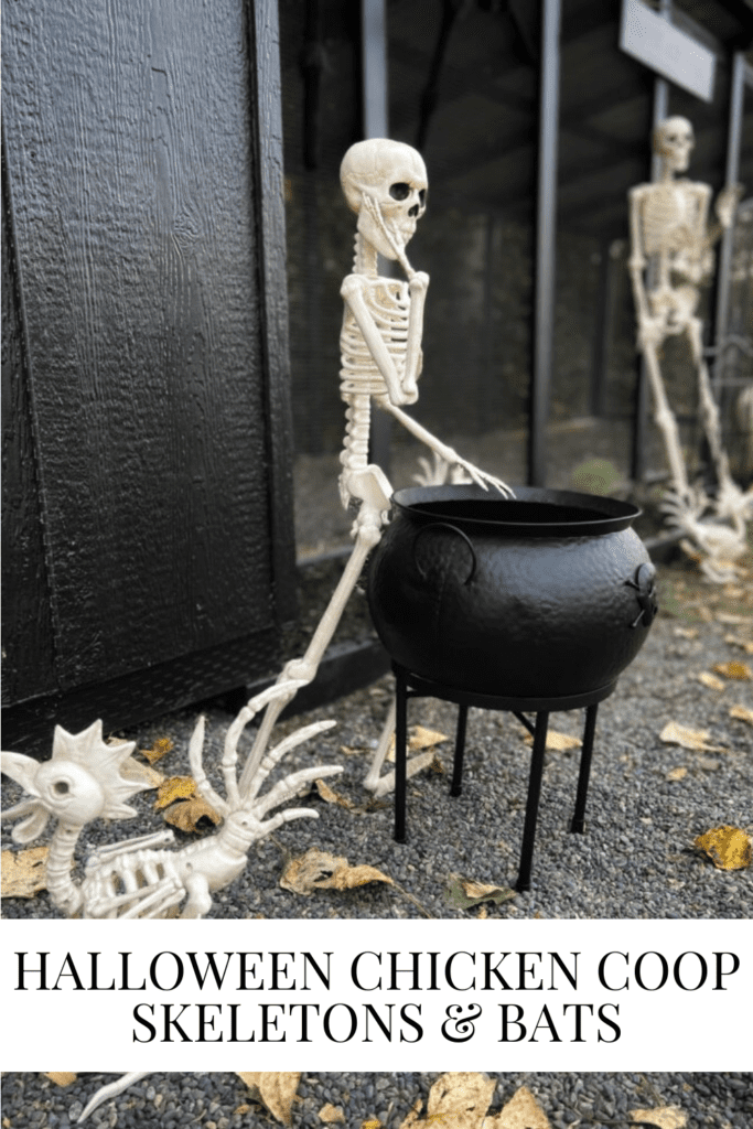 Halloween Chicken Coop – Skeletons & Bats • Dreaming of Homemaking