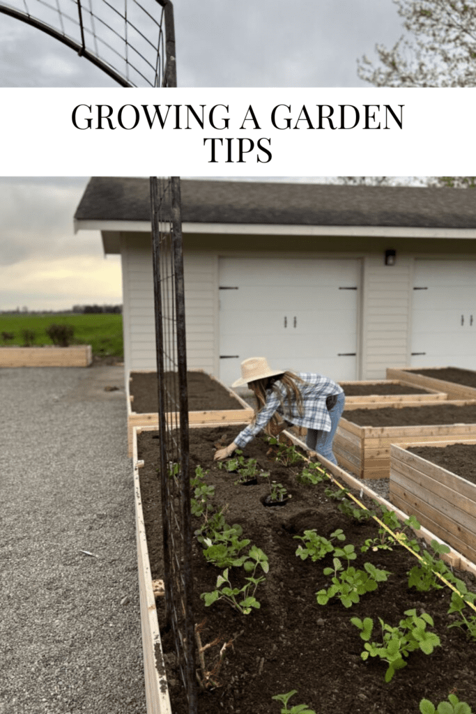 Growing a Garden - Tips | Dreaming of Homemaking